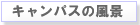 �L�����p�X�̕��i