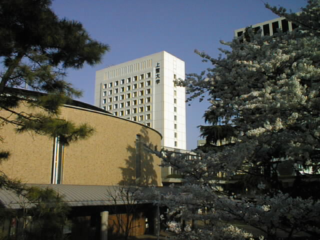 Sophia University