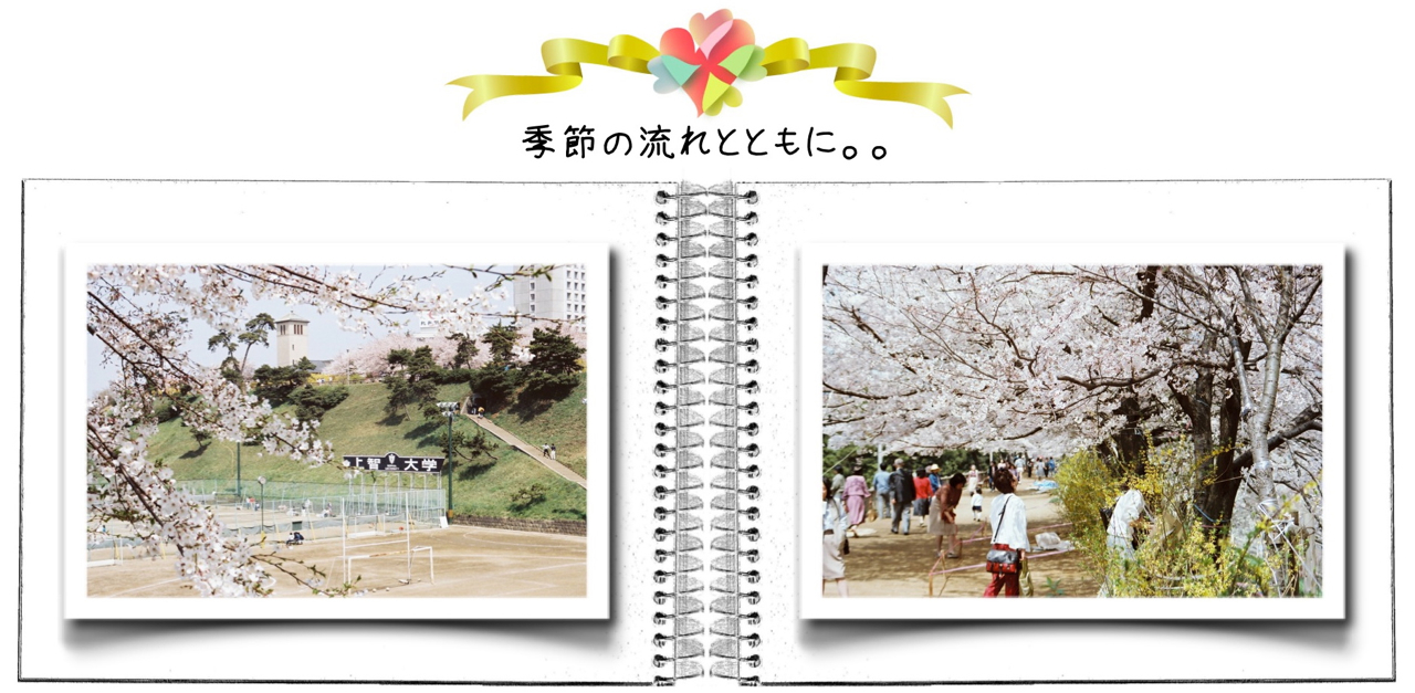 春の上智