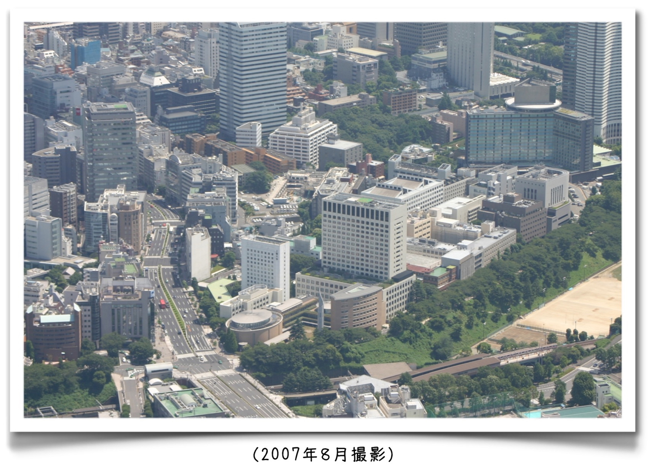 上智-今