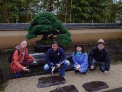 盆栽美術館の庭園