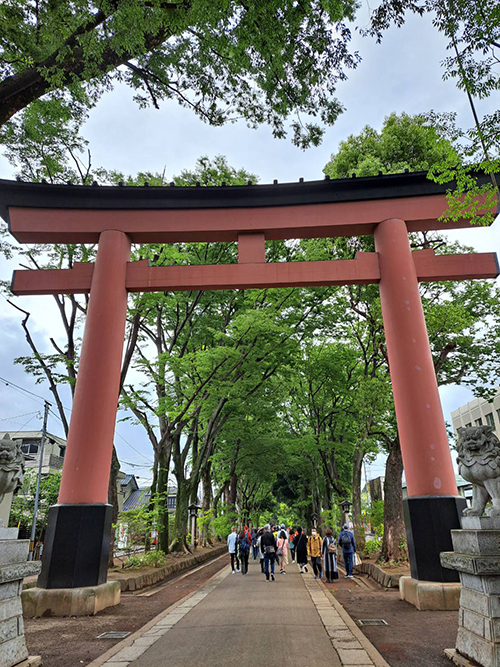 氷川神社のニの鳥居（明治神宮から奉納）